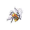 Beedrill
