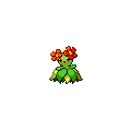 Bellossom official in-game sprite
