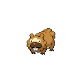 Bidoof official in-game sprite