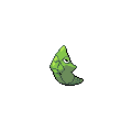 Metapod