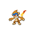Monferno official in-game sprite