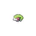 Shaymin official in-game sprite