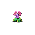 Shiny Bellossom