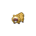 Shiny Bidoof