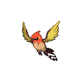Shiny Fletchinder