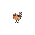 Shiny Fletchling