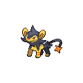 Shiny Luxio