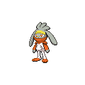 Shiny Raboot