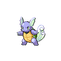 Shiny Wartortle