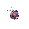 Venonat